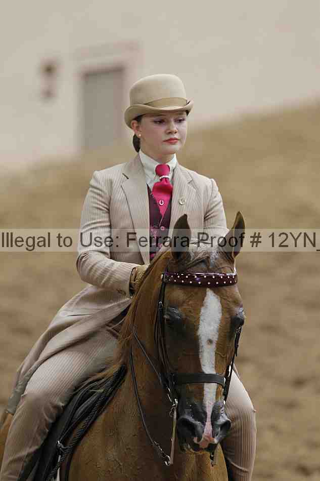 Proof 12yn_01020