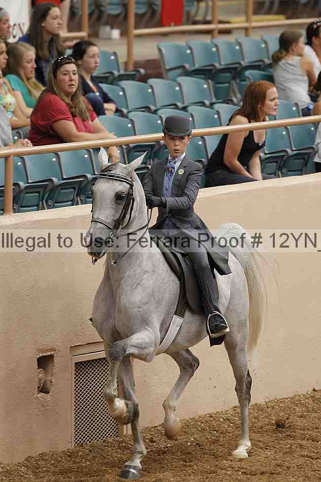 Proof 12yn_01021