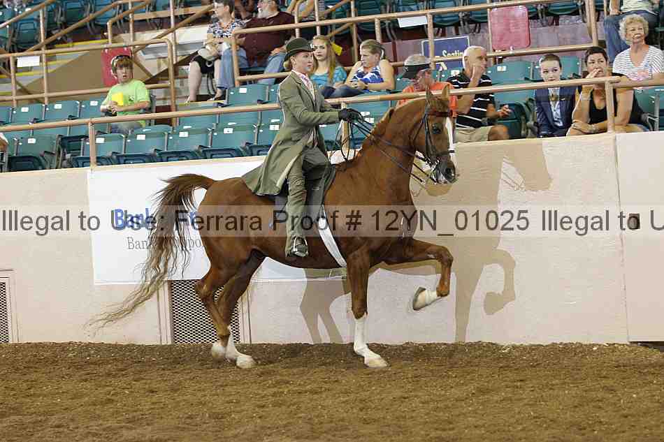 Proof 12yn_01025