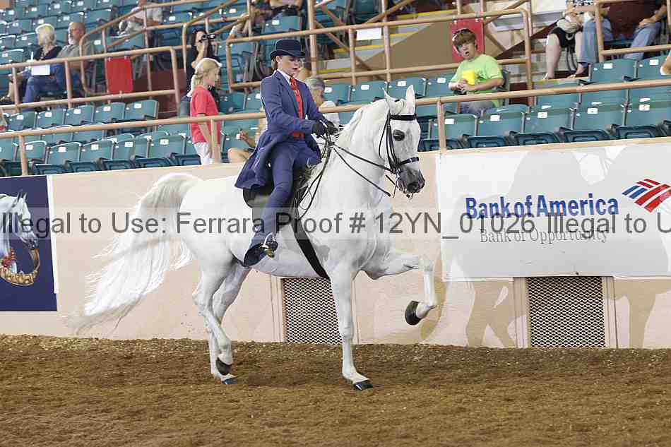 Proof 12yn_01026