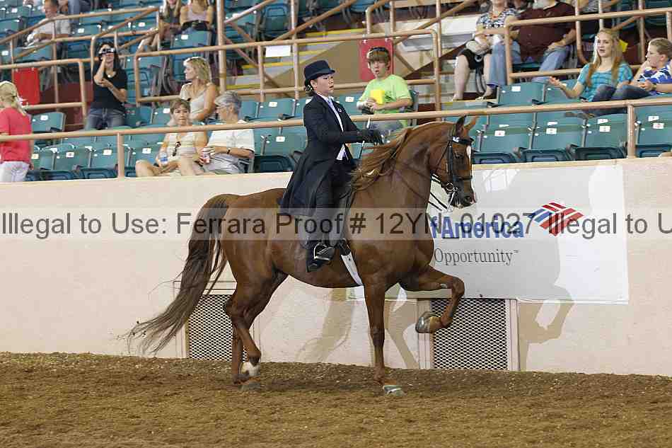 Proof 12yn_01027