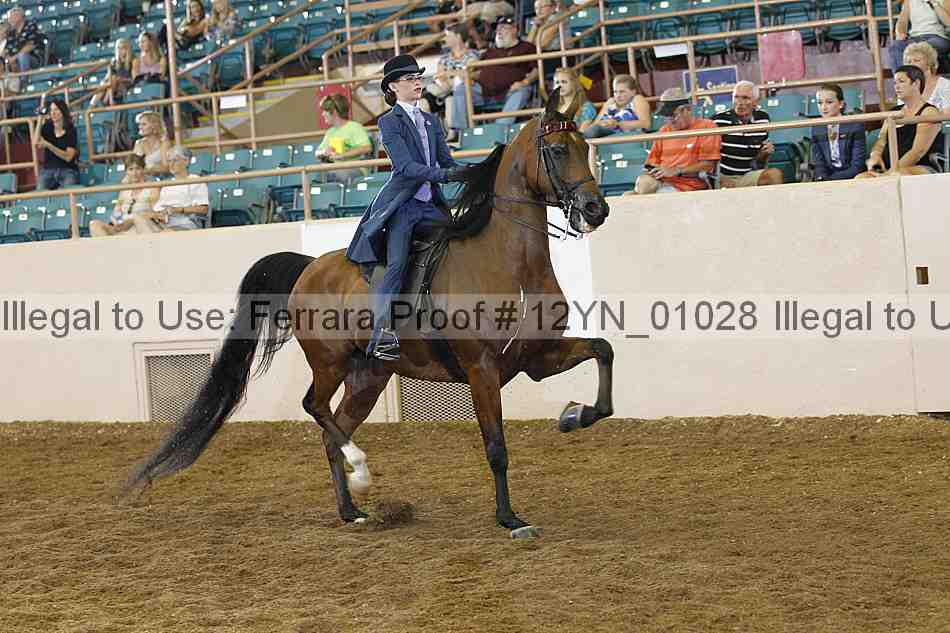 Proof 12yn_01028