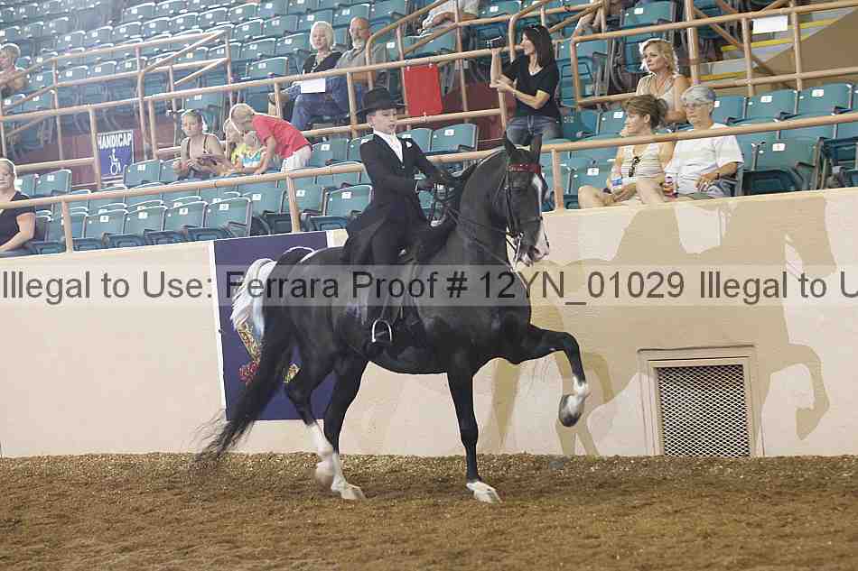 Proof 12yn_01029