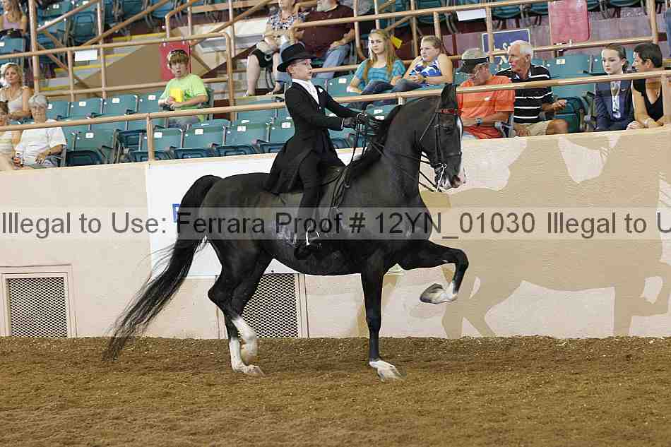 Proof 12yn_01030