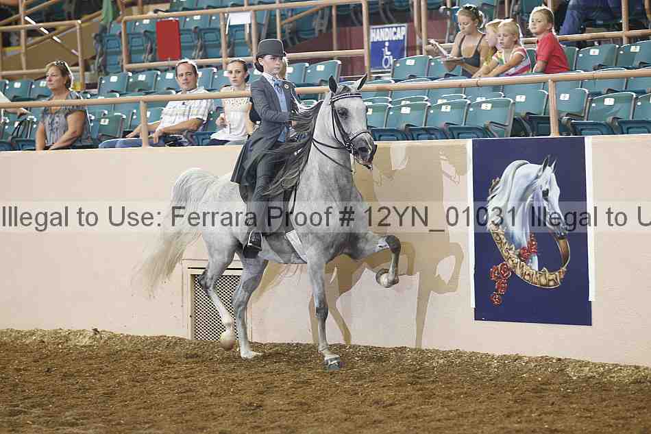 Proof 12yn_01031