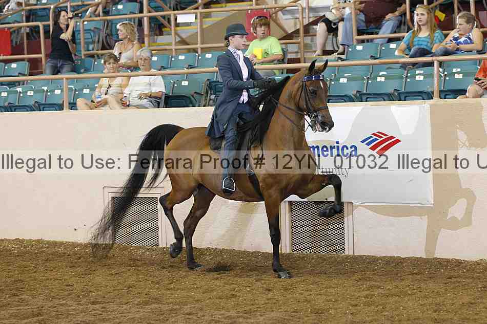 Proof 12yn_01032