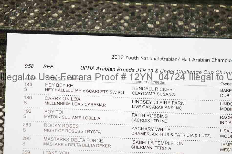 Proof 12yn_04724