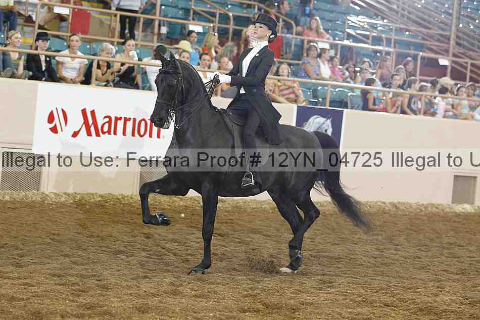 Proof 12yn_04725