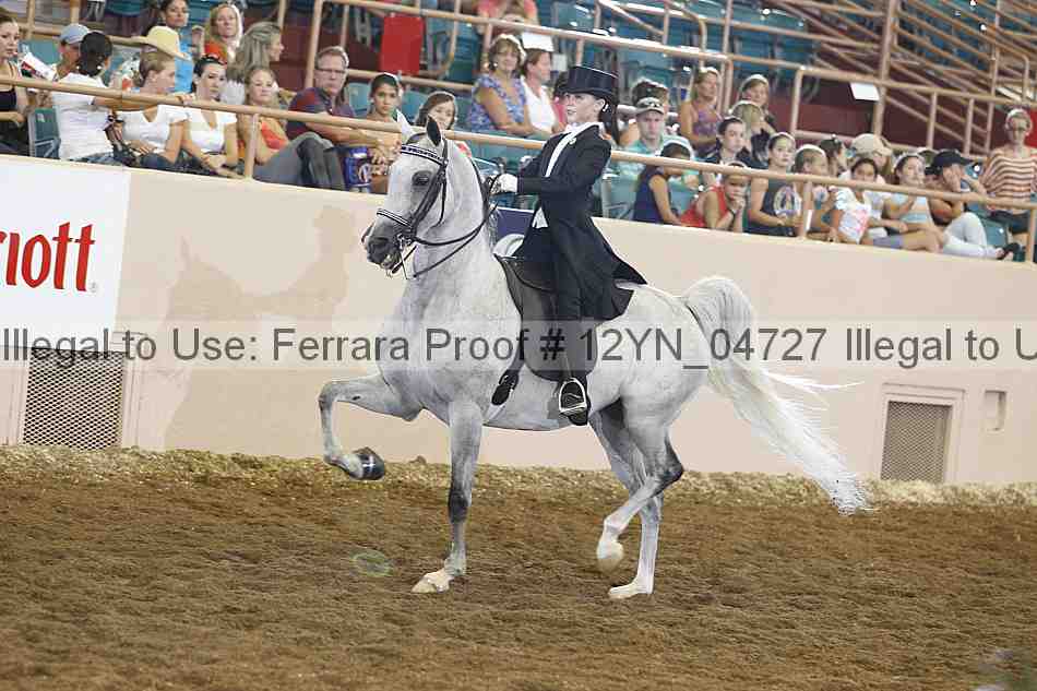 Proof 12yn_04727