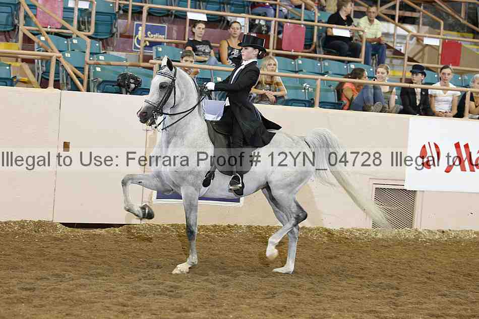 Proof 12yn_04728
