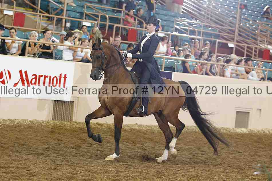 Proof 12yn_04729