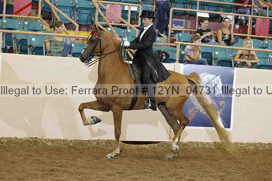 Proof 12yn_04731