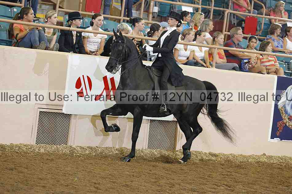 Proof 12yn_04732