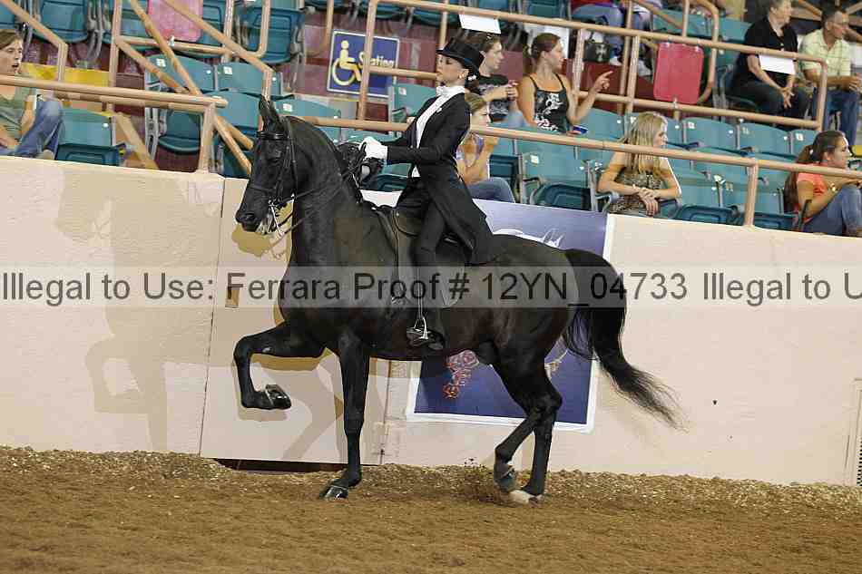 Proof 12yn_04733