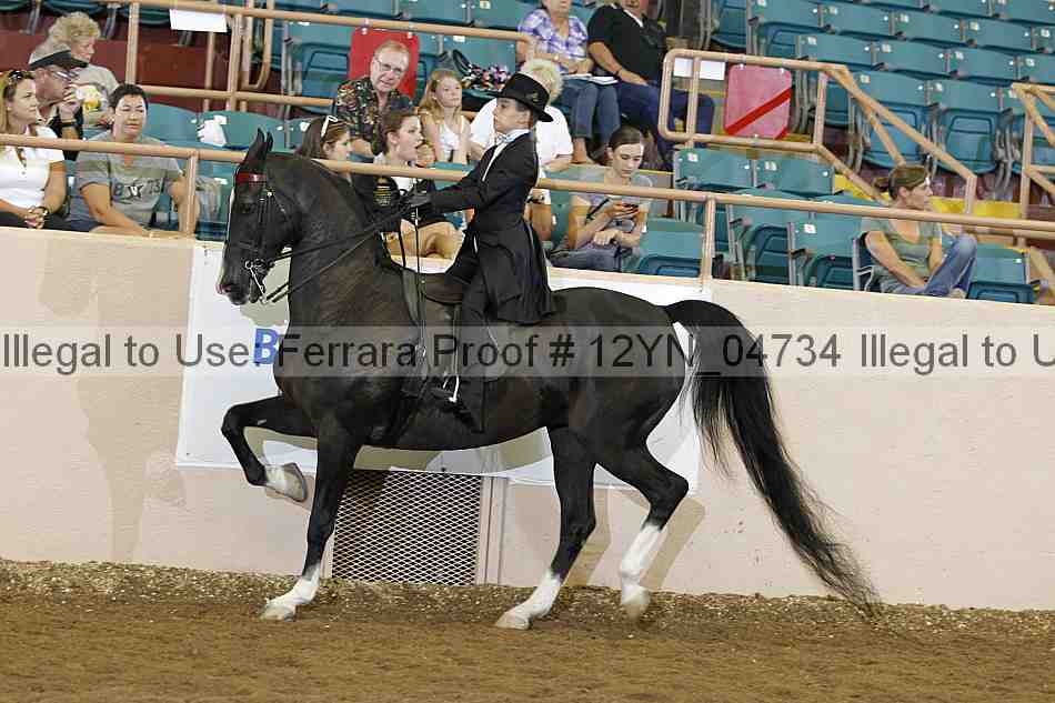 Proof 12yn_04734