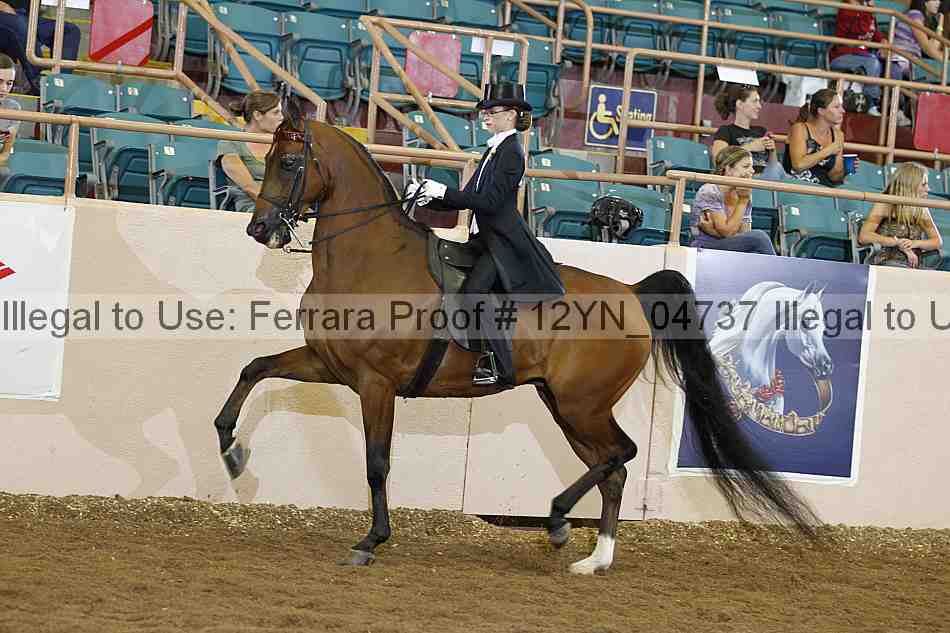 Proof 12yn_04737