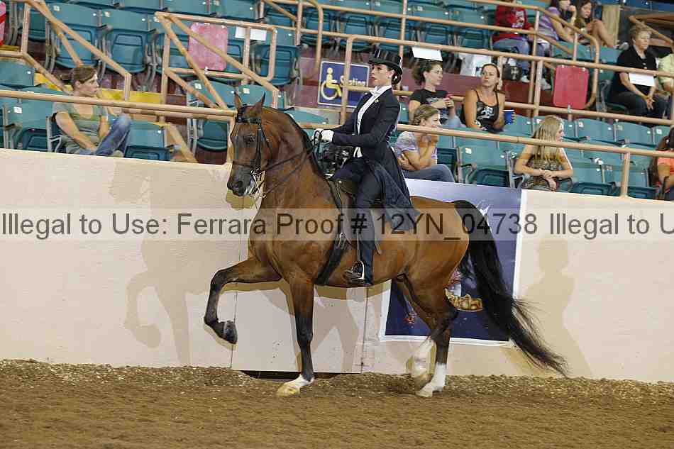 Proof 12yn_04738