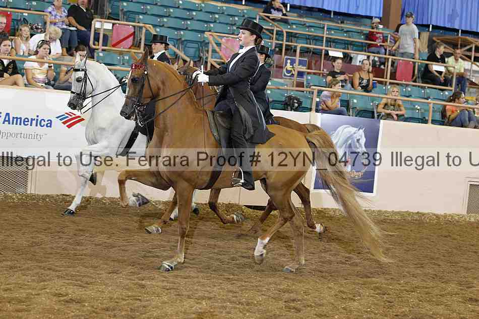 Proof 12yn_04739
