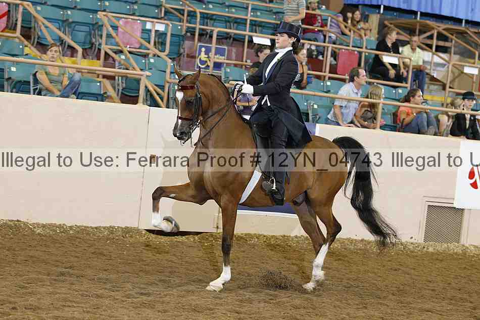 Proof 12yn_04743