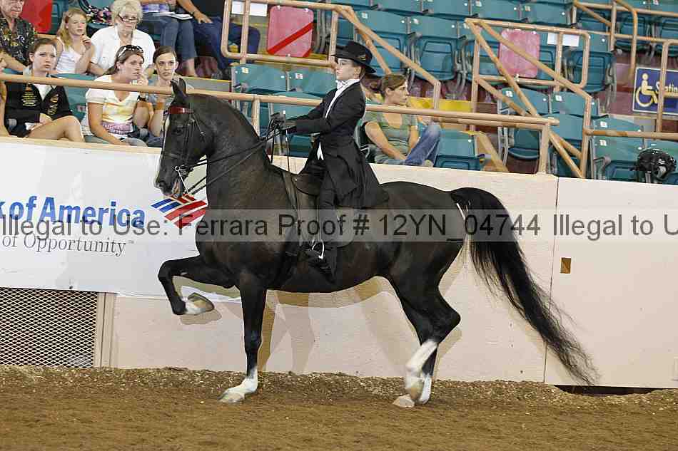 Proof 12yn_04744