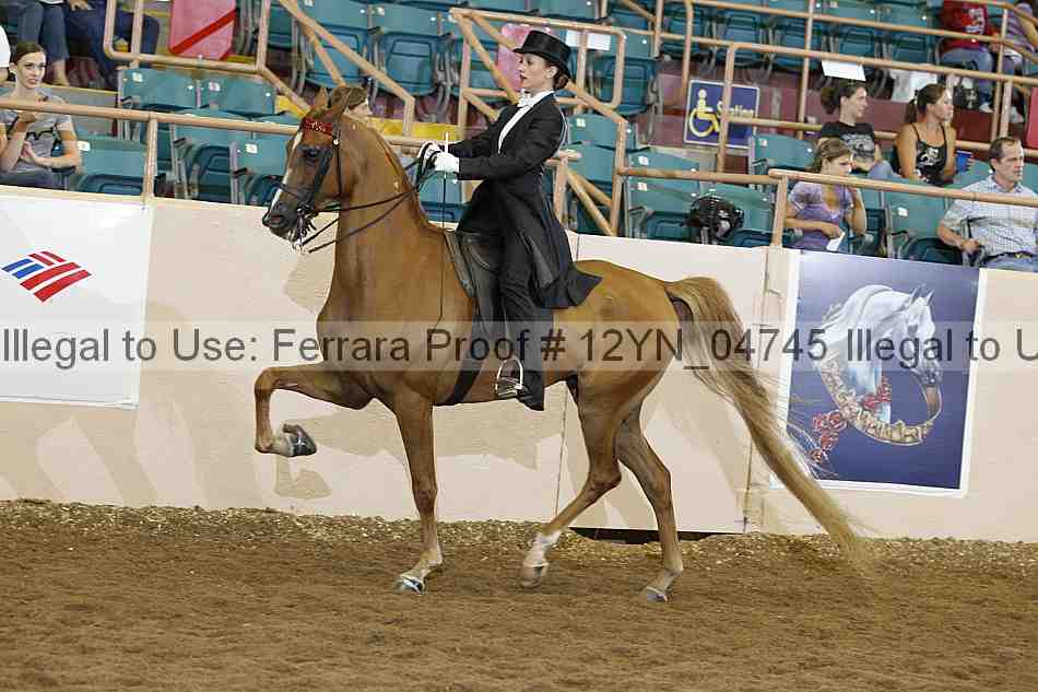 Proof 12yn_04745