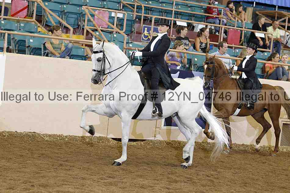 Proof 12yn_04746