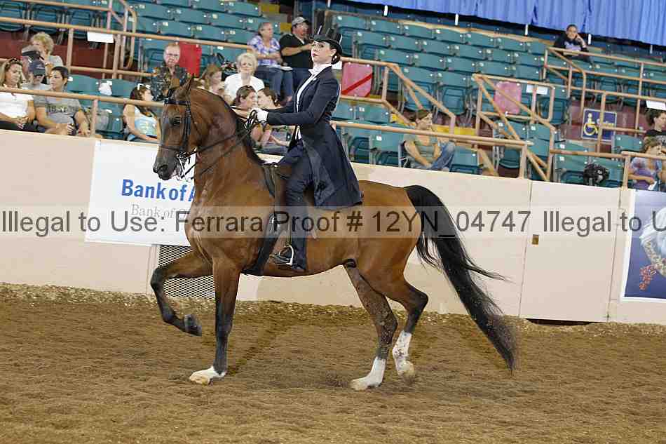 Proof 12yn_04747