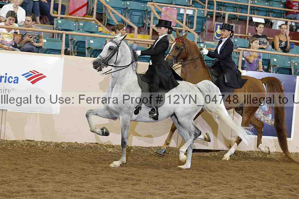 Proof 12yn_04748