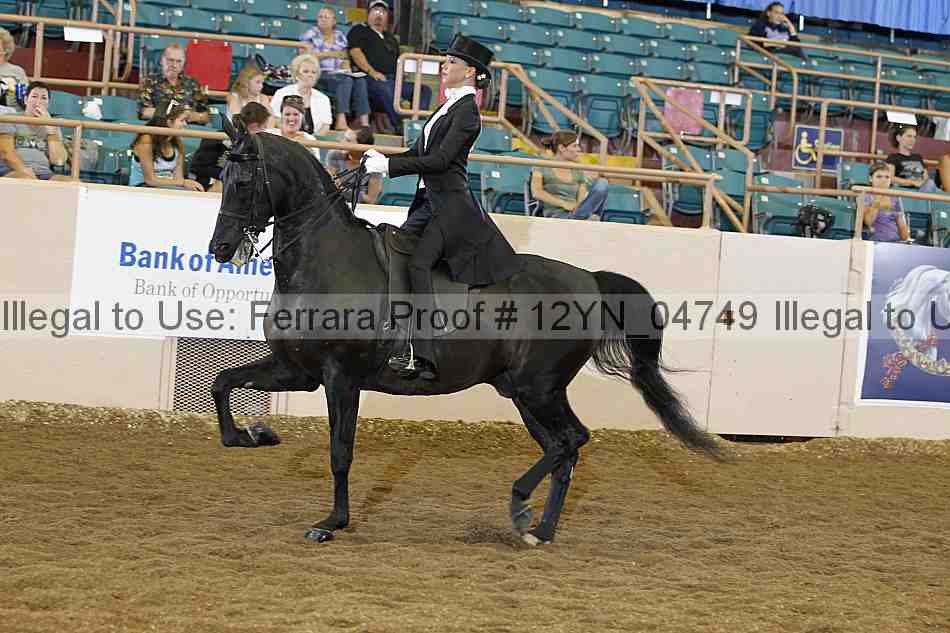 Proof 12yn_04749