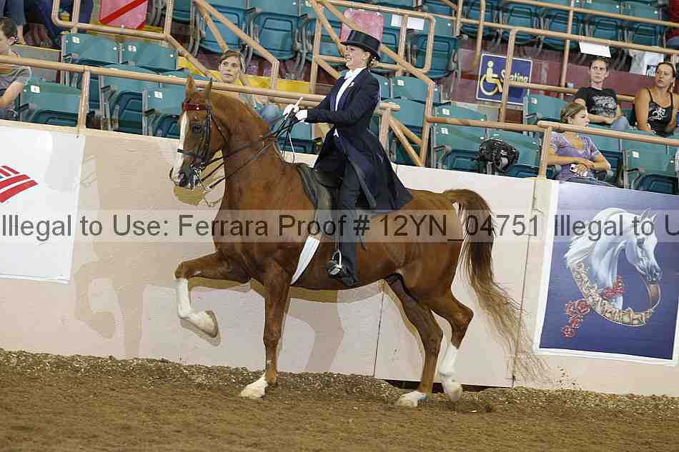 Proof 12yn_04751