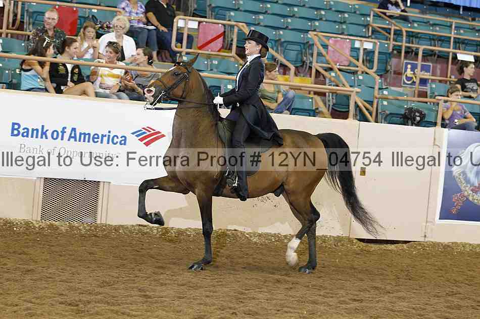 Proof 12yn_04754