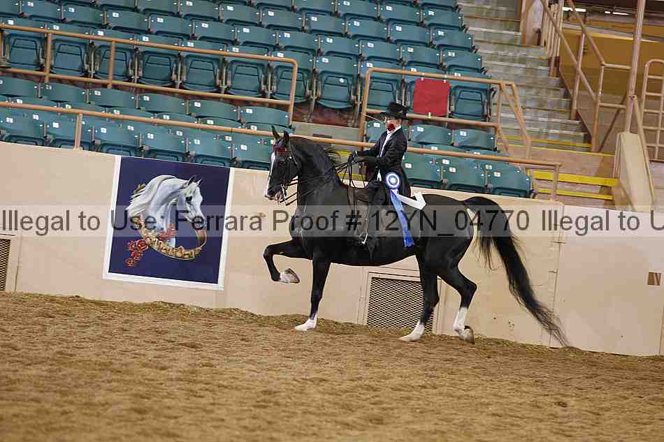 Proof 12yn_04770