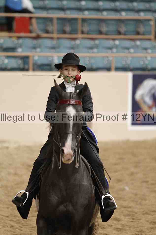 Proof 12yn_04775