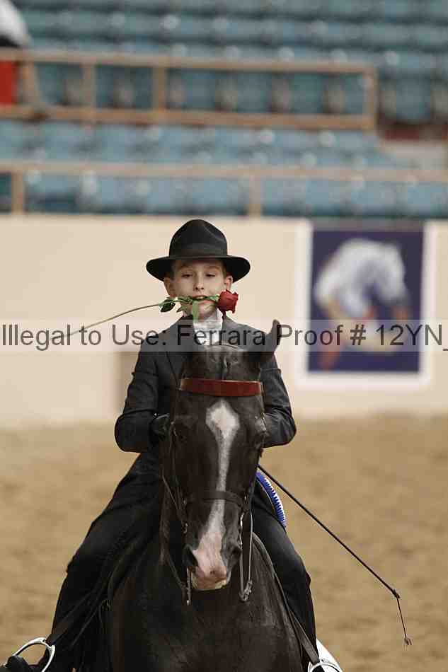 Proof 12yn_04776