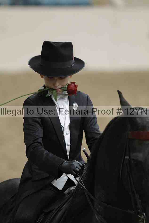 Proof 12yn_04777