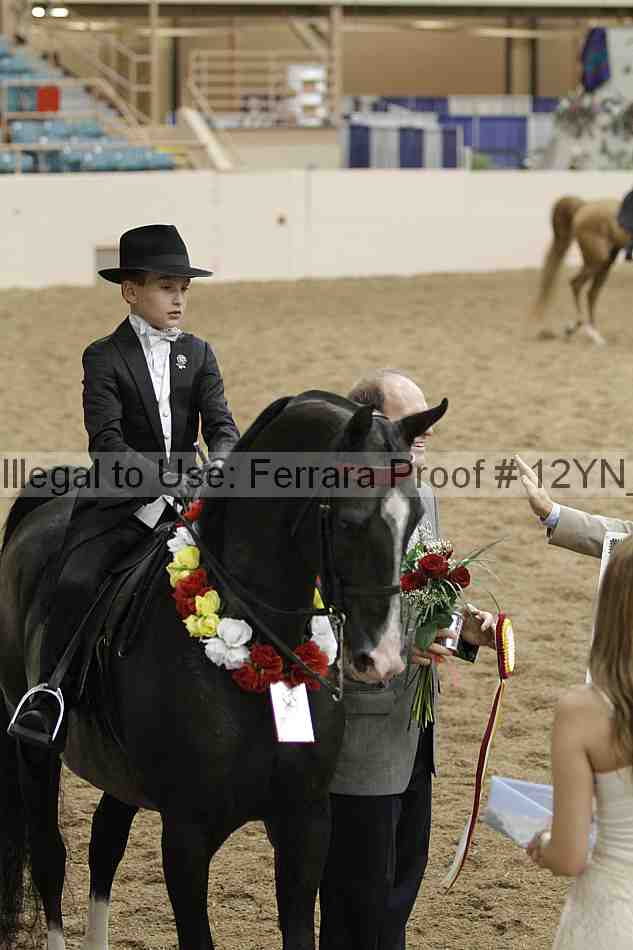 Proof 12yn_04785