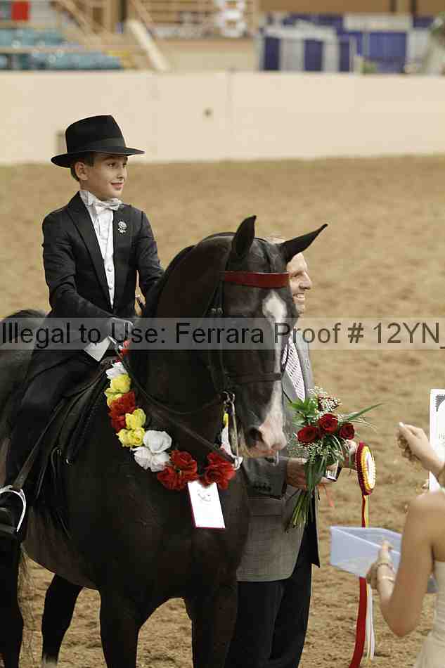 Proof 12yn_04787