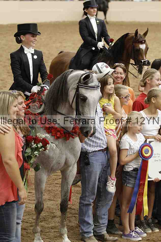 Proof 12yn_04817