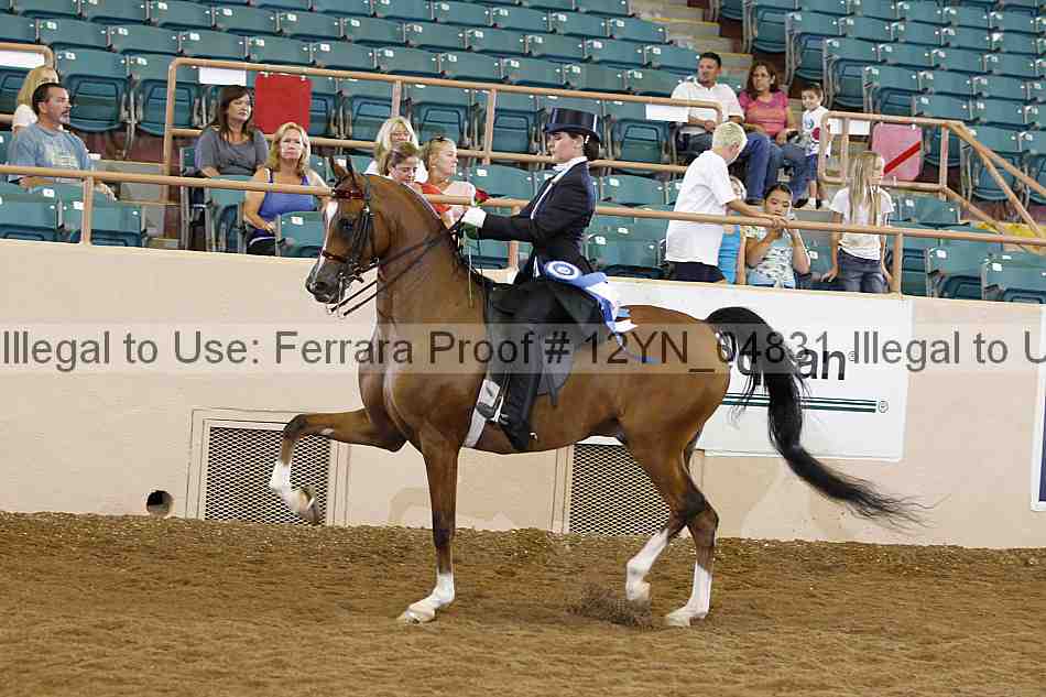 Proof 12yn_04831