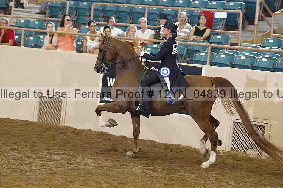 Proof 12yn_04839