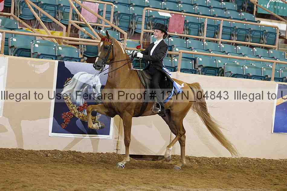Proof 12yn_04843