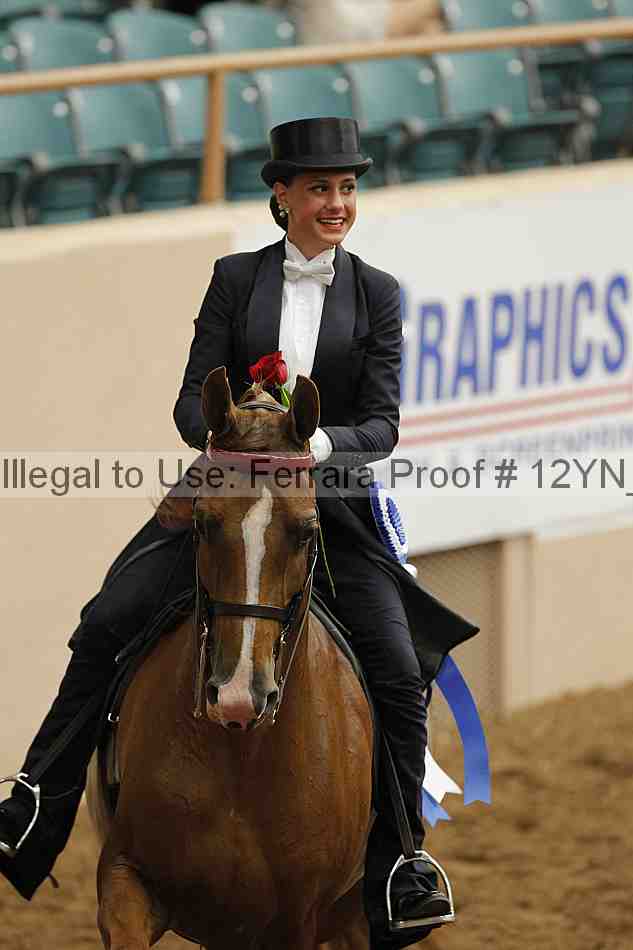 Proof 12yn_04846