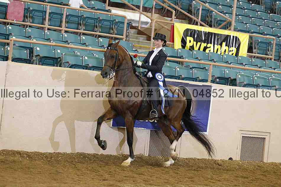 Proof 12yn_04852