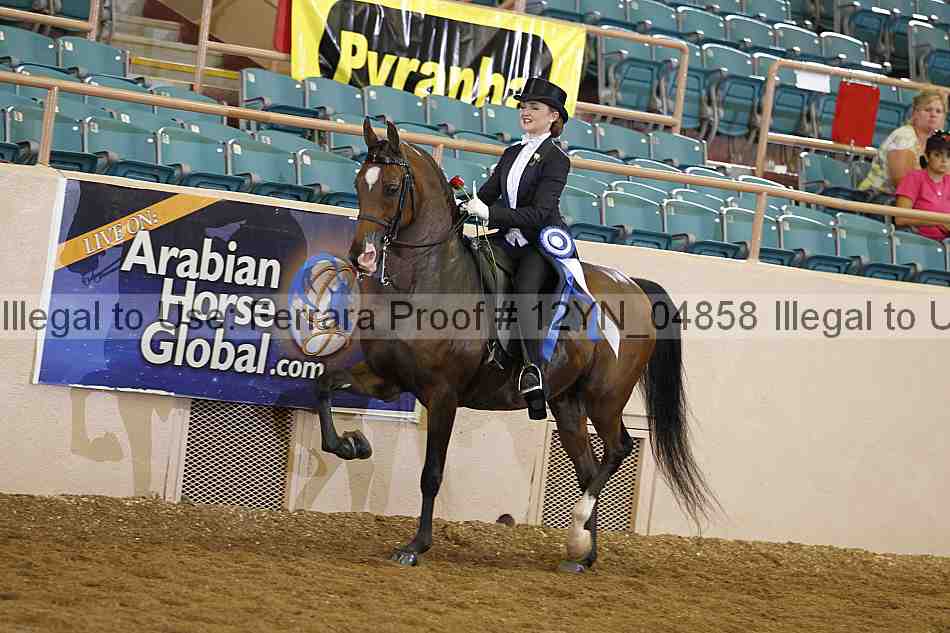 Proof 12yn_04858