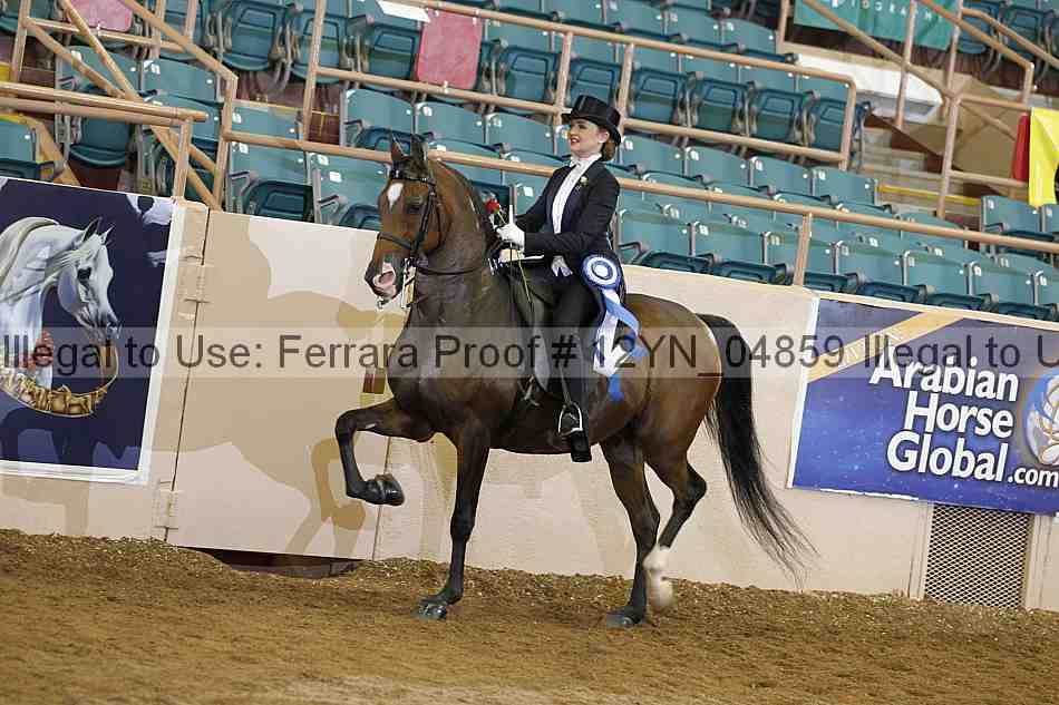 Proof 12yn_04859