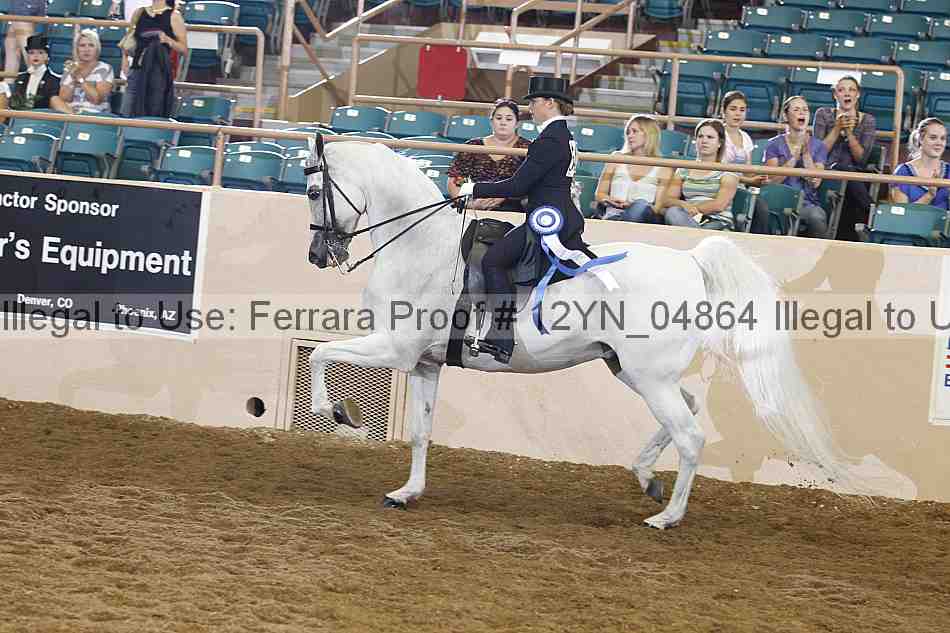 Proof 12yn_04864