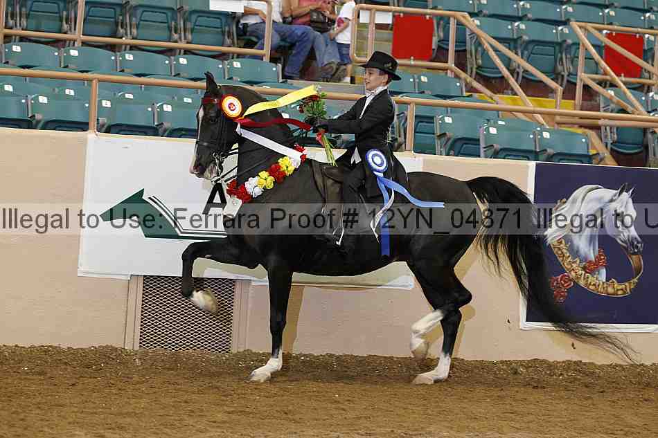 Proof 12yn_04871