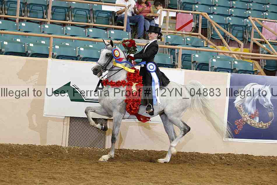 Proof 12yn_04883