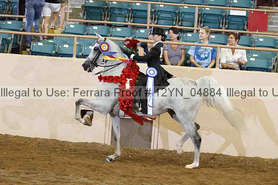 Proof 12yn_04884