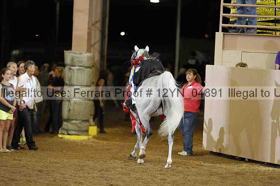 Proof 12yn_04891
